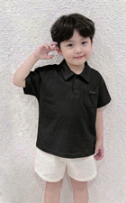 ao-polo-den-beemo-22086A3